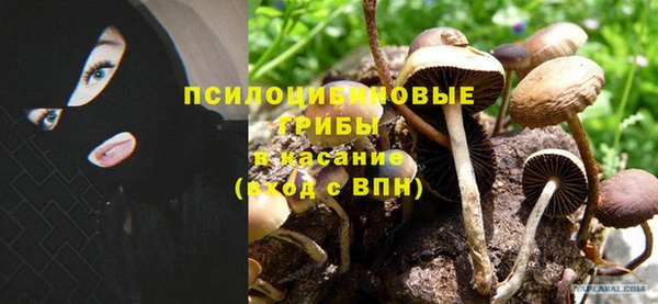 мет Арсеньев