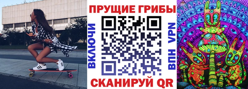 мега маркетплейс  Абаза  Псилоцибиновые грибы Psilocybine cubensis 